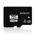 eekoo 4GB CLASS 6 TF(Micro SD) Memory Card