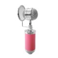3000 Home KTV Mic Condenser Sound Recording Microphone with Shock Mount & Pop Filter for PC & Laptop