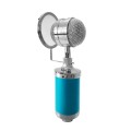 3000 Home KTV Mic Condenser Sound Recording Microphone with Shock Mount & Pop Filter for PC & Laptop