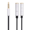 2 x 3.5mm Female to 3.5mm Male Adapter Cable(Silver)