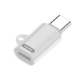 8 Pin Female to USB-C / Type-C Male Adapter Gen2, Supports PD Fast Charging for iPhone 15 Series