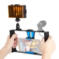 PULUZ 2 in 1 Vlogging Live Broadcast LED Selfie Light Smartphone Video Rig Kits with Cold Shoe Tripo
