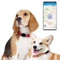 RF-V43 B Style IP67 Waterproof GPS + LBS + WiFi Pet Locator Pet Collar Tracking Device For North Ame