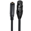 6.35mm Female to XLR Female JUNSUNMAY Speaker Audio Amplifier Connection Cable, Length: 50cm