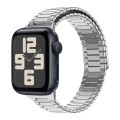 For Apple Watch SE 2023 44mm Bamboo Magnetic Stainless Steel Metal Watch Strap(Silver)