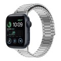 For Apple Watch SE 2022 40mm Bamboo Magnetic Stainless Steel Metal Watch Strap(Silver)
