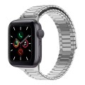 For Apple Watch Series 5 44mm Bamboo Magnetic Stainless Steel Metal Watch Strap(Silver)