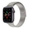 For Apple Watch Series 5 40mm Bamboo Magnetic Stainless Steel Metal Watch Strap(Titanium Color)