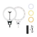 JMARY FM-12R Photography LED Fill Light 12-inch Video Recording Ring Light(EU Plug)