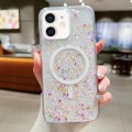 For iPhone 12 Explosive Flash Gradient MagSafe TPU Phone Case(Colour)