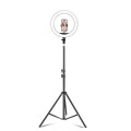 14 inch+Phone Clip Dimmable Color Temperature LED Ring Fill Light Live Broadcast Set With 2.1m Tripo