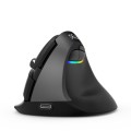 DELUX M618Mini Colorful Wireless Luminous Vertical Mouse Bluetooth Rechargeable Vertical Mouse(Class