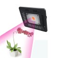 50W Ultra-Thin LED Plant Light, Full Spectrum COB Growth Light, Vegetable, Fruit & Flower Greenhouse