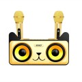 SDRD SD-305 2 in 1 Family KTV Portable Wireless Live Dual Microphone + Bluetooth Speaker(Gold)