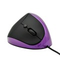 JSY-05 6 Keys Wired Vertical Mouse Ergonomics Brace Optical Mouse(Purple)