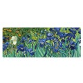 300x800x2mm Locked Am002 Large Oil Painting Desk Rubber Mouse Pad(Iris)