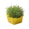 3 PCS Bean Sprout Germination Pot Soilless Culture Hydroponic Vegetable Seedling Tray(Yellow)