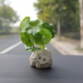 Mini Car Potted Ornaments Decoration Simulated Flower Pots, Style: Stop Talking Jar