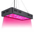 1200W Double Chips LED Grow Light Full Spectrum Grow Lamp for Greenhouse Hyd