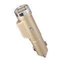 Dual USB Car Charger Fresh Oxygen Ozone Air Purifier Cigarette Lighter  2 In 1