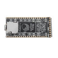 Lichee Tang 64Mbit SDRAM Onboard FPGA Downloader Dual Flash RISC-V Development Board