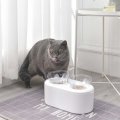 Cat Bowl 15 Tilted Elevated Raised Stand, Double Dish Pet Food & Water Bowls, Transparent Plastic