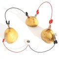 DIY Potato Powered Fruit Digital Clock Kit For Kids Children Science Learning Experience Toys