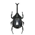 11.5cm Cute Solar Beetle Solar Powered Toy Beetle Children`s Educational Toy