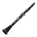 IRIN 17 key Bb Adjustable Gum Wood Clarinet with Case/Bass StripReed/Screwdriver/Gloves