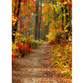 3x5FT Autumn Forest Path Theme Photography Vinyl Backdrop