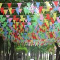 40m Ceremony String Flags Warning Flags Color Pennant Flags S Size