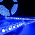Blue Waterproof 5M 3528 LED SMD 600 Lights Flexible Strip Light DC 12V