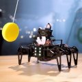 Adeept RaspClaws Hexapod Spider Robot Kit for Raspberry Pi 4 Model 4B/3B STEAM Crawling Robot Open