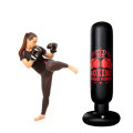 1.6M Free Standing Inflatable Boxing Punch Bag Boxing Kick Training Home Gym Fitness Tools For Adult