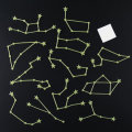 The Signs of the Zodiac Luminous Wall Stickers Romantic Sky Home Room Constellations Decor