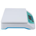 66lb x 0.1oz Digital Kitchen Packaging Shipping Postal Electronic Compact Scale