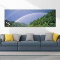 DYC 10429 Single Spray Oil Paintings Photography Rainbow Wall Art For Home Decoration