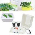 220V Hydroponic Grow Box 2 Holes DWC Indoor Aerobic Soilless Cultivation System Kit Water Planting