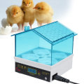 220V Auto Poultry Incubator 4 Egg Incubator Capacity Turning Hatcher Temperature Controls