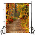 3x5FT Autumn Forest Path Theme Photography Vinyl Backdrop
