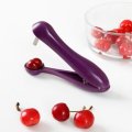Honana Stainless Steel Handheld Cherry Pitter Fruit Olive Core Remover Tool Fruit Seed Remover