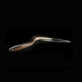 30CM Sand Eel PVC Soft Artificial Cod Bass Wrasse Pollock Ling Fishing Lure