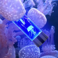 LED Night Light Jellyfish Tank Aquarium Style LED Lamp Sensory Autism Lamp LED Desk Lamp for Home De