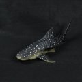 28cm Realistic Whale Shark Sea Animal Figure Solid Plastic Ocean Toy Diecast Model
