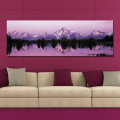 DYC 10357 Single Spray Oil Paintings Snow Mountain Photography For Home Decoration Paintings Wall Ar