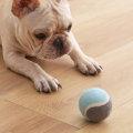 Pet Dog Tennis Chasing Training Roller Ball Toys Form
