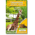 Giraffe - Champions Of The Wild - Giraffes / Wildlife Game Resrve In Association With Discovery