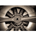 Vintage propeller aircraft engine closeup