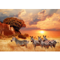 Zebras in the African savanna
