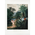 Cupid Inspiring Plants with Love from The Temple of Flora (1807)
